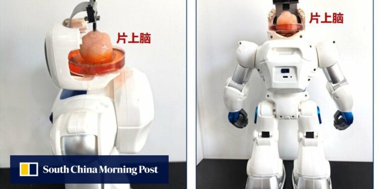 Chinese scientists create robot with brain made from human stem cells