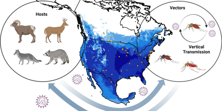 Ecology and geography of Cache Valley virus assessed using ecological niche modeling | Parasites & Vectors