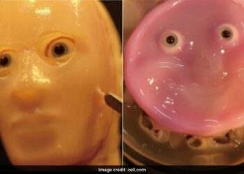 Scientists Create Smiling Robot Face Made Of Living Human Skin Cells