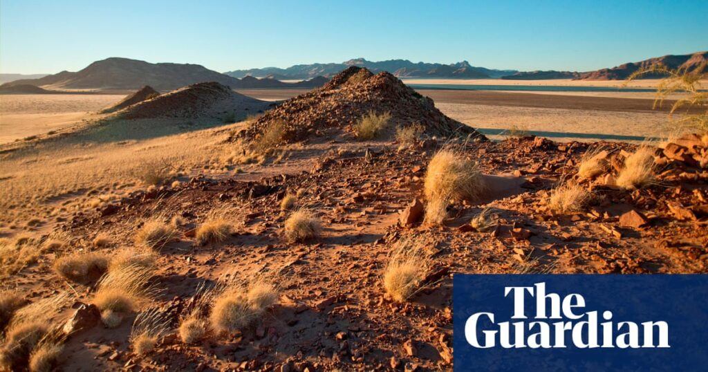 ‘People think they’ll smell but they don’t’: inside the Namibian homes built from mushrooms | Namibia