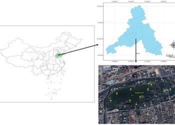 Succession characteristics of phytoplankton functional groups and ecological assessment in a cold spring-type urban lake, China