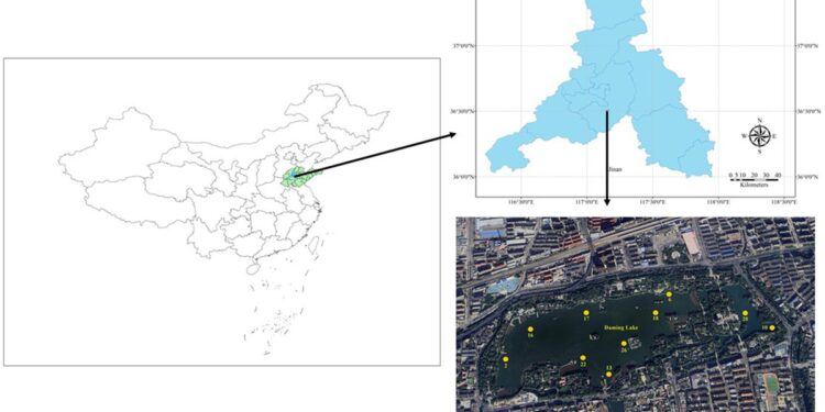 Succession characteristics of phytoplankton functional groups and ecological assessment in a cold spring-type urban lake, China