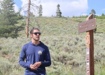 At scene of future clear-cut site, foresters bring awareness to Summit County’s ecology, fire mitigation tactics 