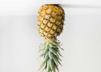 SC in top 10 for swinging lifestyle, study says