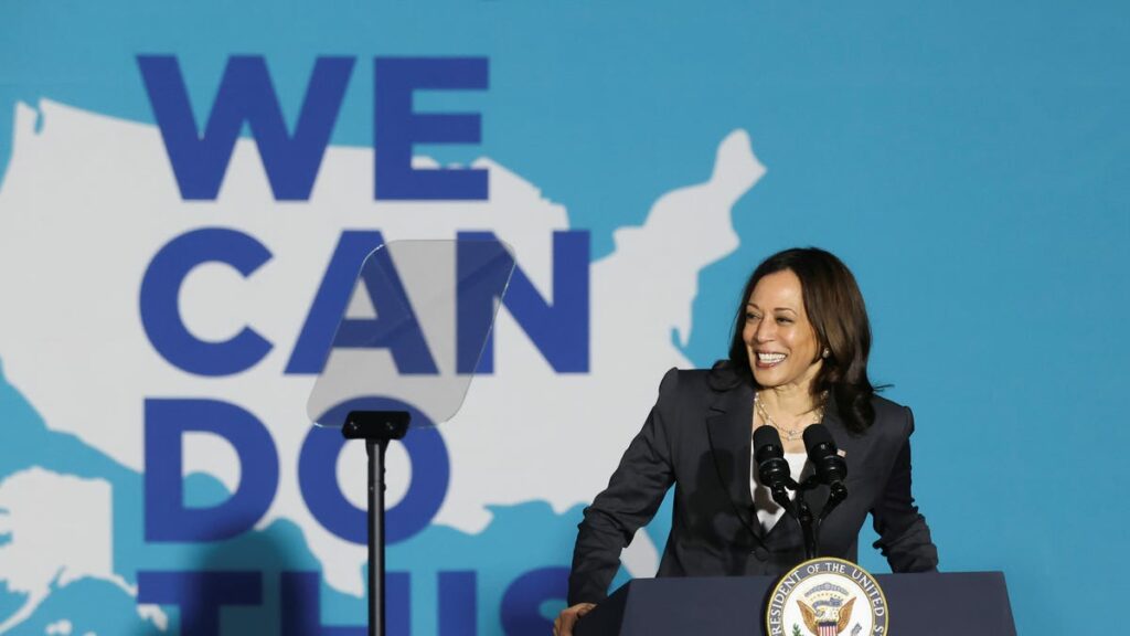 Desperate Democrats turn to Kamala Harris. She will let them down