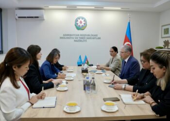 Regional Director of UN Development Coordination Office meets with Azerbaijan