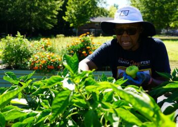 City's community gardens provide healthy lifestyle, sense of purpose - Rocky Mount Telegram