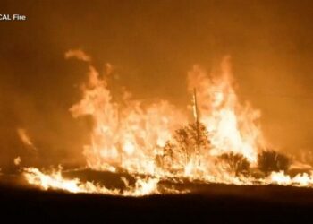 Eurozone economy grew modestly by 0.3% in the second quarter as Germany shrank, highlighting growth gap with U.S. - ABC News