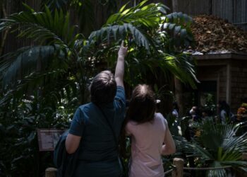 Former students share memories of the Ontario Science Centre's school