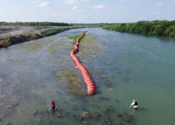 Professor says buoys in Rio Grande have created significant ecological impact