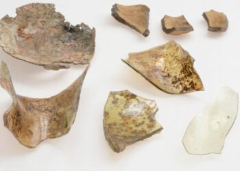 Surprising element found in traces of Tyco Brahe’s alchemy lab confounds scientists