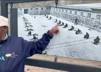 The world declares a day in honor of Nelson Mandela