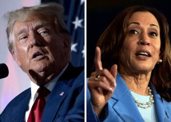 Trump donated to Kamala Harris’s campaigns before becoming a politician