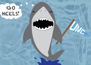 UNC academics research shark ecology and mislabeling of shark meat in grocery stores -