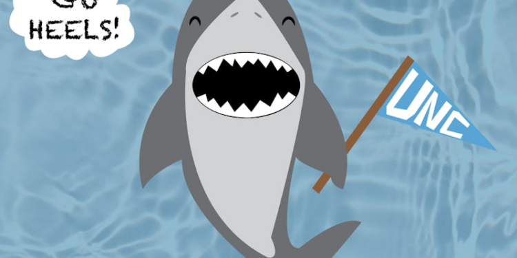 UNC academics research shark ecology and mislabeling of shark meat in grocery stores -