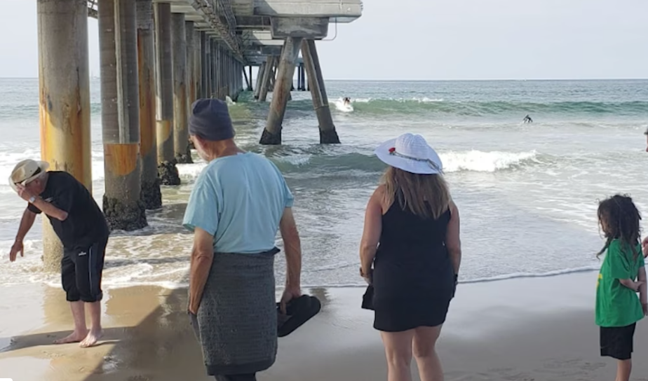 Venice Oceanarium Seeks Volunteers for Weekly Marine Science Pop-Up