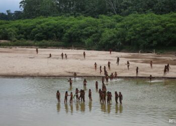 World's Largest Isolated Tribe Makes Rare Appearance In New Footage