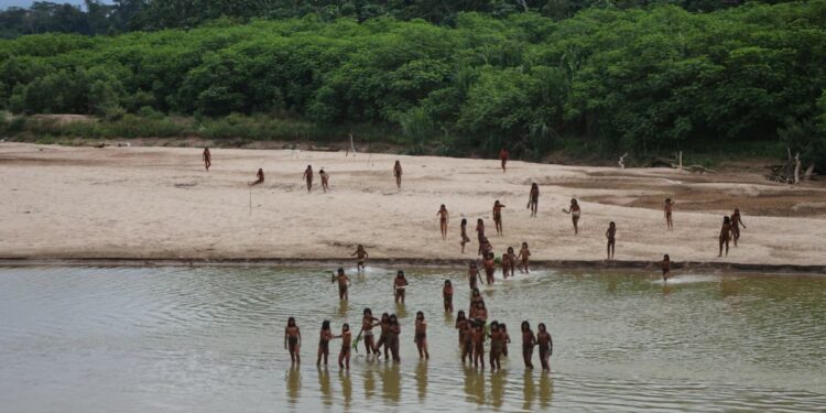 World's Largest Isolated Tribe Makes Rare Appearance In New Footage