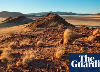 ‘People think they’ll smell but they don’t’: inside the Namibian homes built from mushrooms | Namibia
