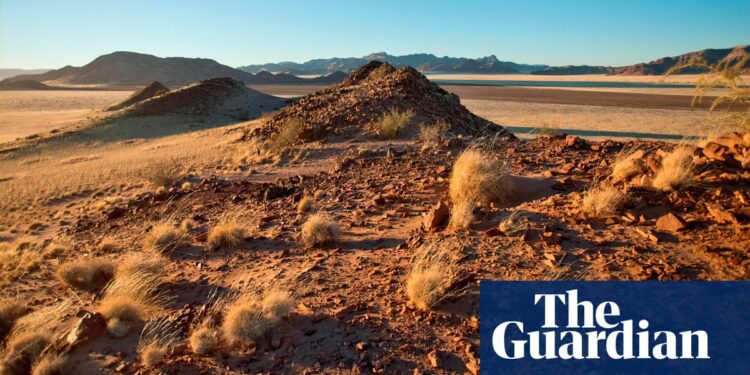 ‘People think they’ll smell but they don’t’: inside the Namibian homes built from mushrooms | Namibia