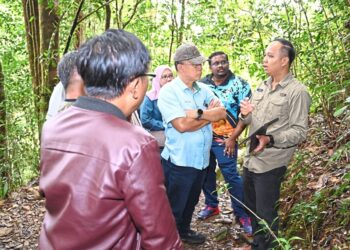 Battle Against Invasive Species at Kinabalu Park Gets Stronger