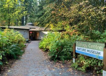 Exploring Delicious Edible Plants on a Nature Walk in Lynn Canyon Park