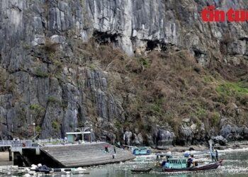 Rising fire risks and habitat disruption: The aftermath of typhoons in Halong Bay’s battered vegetation