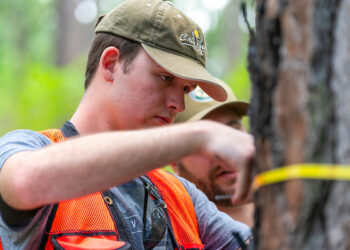 Unlock Your Future: Texas A&M Forest Service Rolls Out Scholarships for Aspiring Foresters!