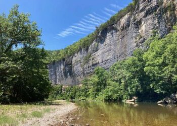 Buffalo River Watershed Protected: State Commission Bans Large Hog Farms to Preserve Ecological Balance!