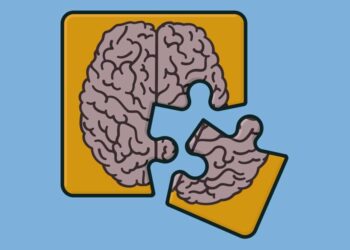 Unlocking the Link Between Lifestyle Changes and Dementia: New Study Findings