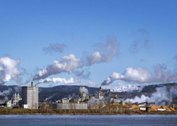 Longview Papermill Under Investigation: Could It Be the Source of September’s Puzzling Odor