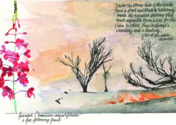 Oakland’s Own Kaufmann Ignites Imagination with New Book ‘State of Fire