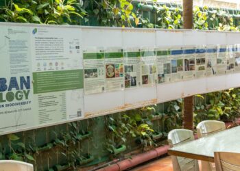 Unearthing Urban Ecology: A Journey Through Stories, Poetry, and Culinary Wonders