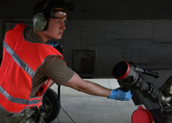 Unveiling the Secrets of Military Entomology: The Bugs Battling for Our Safety