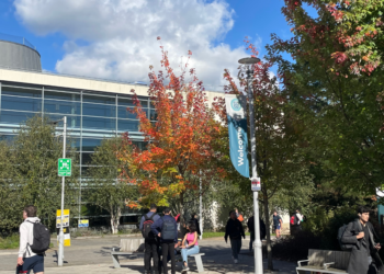 Exeter University Shines Globally: Top Rankings for 20 Subjects in Latest League Table!