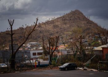 Unlocking Earth’s Secrets: The Surprising Solution to Heal Our Planet!