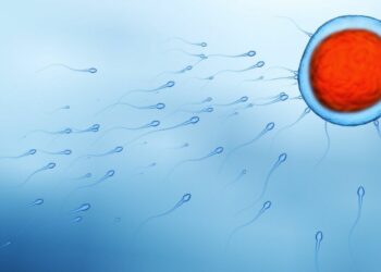 Elevate Your Fertility: 7 Powerful Lifestyle Changes to Enhance Your Pregnancy Chances Now!