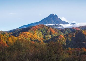 Unlocking Nature’s Treasures: How Competition is Boosting Biodiversity Tourism and Rural Revival in Boao