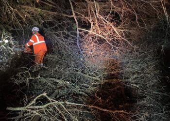 £1 Million Transformation: Revitalizing the Heart of Wales Line with Exciting Vegetation Management Project!