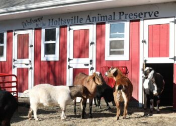 Ex-Holtsville Zoo Employee Unveils Shocking Allegations Against the Facility!