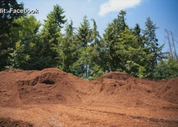 Empowering Change: New Bill Aims to Enhance the Department of Ecology’s Authority