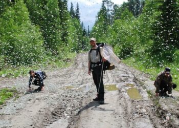 Why Badgers Are Breaking New Ground: 12th Place in a Future Grad Program!