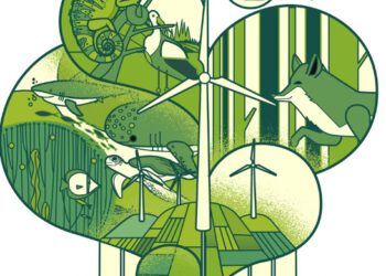 Join the Conversation: Share Your Thoughts on the New Ecology Code Drafts!